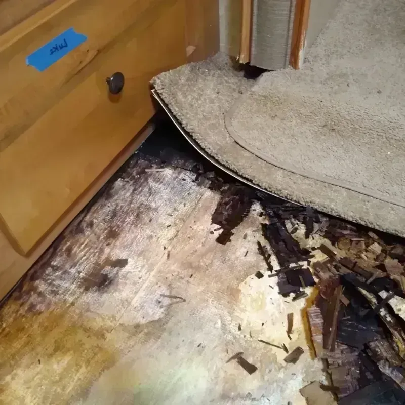 Wood Floor Water Damage in Saint Johns, MO